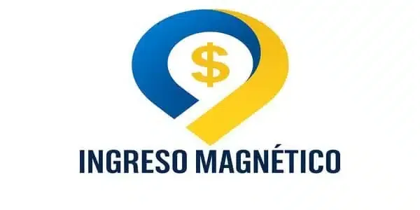 Ingreso Magnetico - Alex J. y Francisco B.