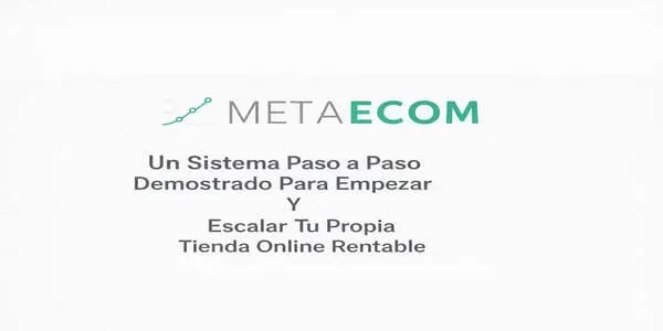Meta Ecom - Theo M.